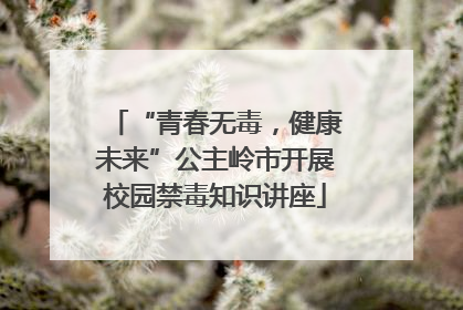“青春无毒，健康未来”公主岭市开展校园禁毒知识讲座