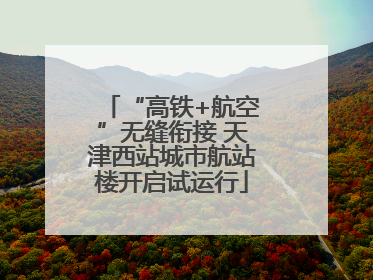 “高铁+航空”无缝衔接 天津西站城市航站楼开启试运行