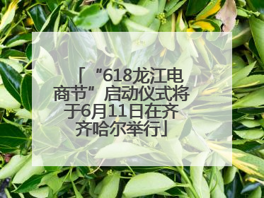 “618龙江电商节”启动仪式将于6月11日在齐齐哈尔举行