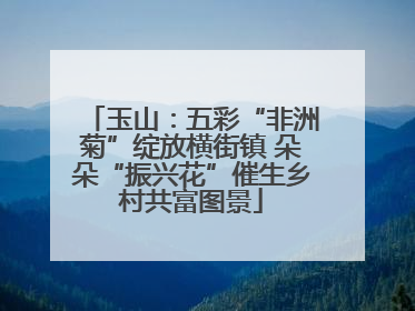 玉山：五彩“非洲菊”绽放横街镇 朵朵“振兴花”催生乡村共富图景