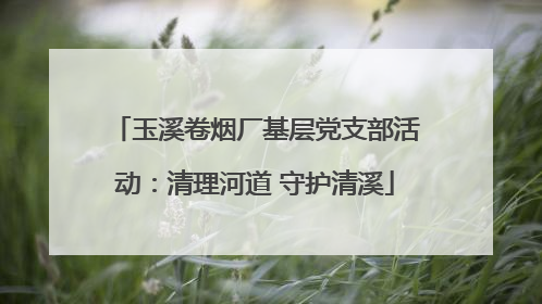 玉溪卷烟厂基层党支部活动：清理河道 守护清溪