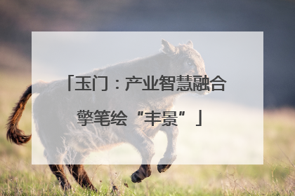 玉门：产业智慧融合 擎笔绘“丰景”