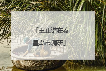 王正谱在秦皇岛市调研
