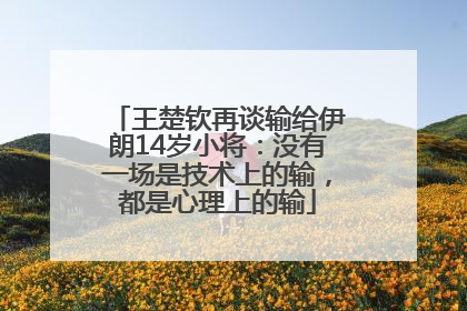 王楚钦再谈输给伊朗14岁小将：没有一场是技术上的输，都是心理上的输