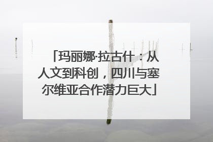 玛丽娜·拉古什：从人文到科创，四川与塞尔维亚合作潜力巨大