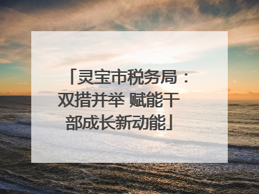 灵宝市税务局：双措并举 赋能干部成长新动能