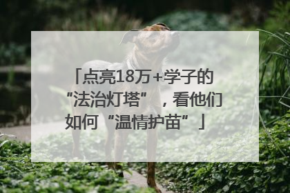 点亮18万+学子的“法治灯塔”，看他们如何“温情护苗”