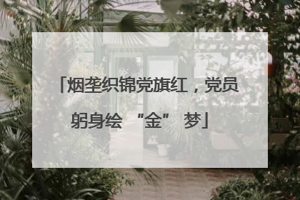 烟垄织锦党旗红，党员躬身绘 “金” 梦