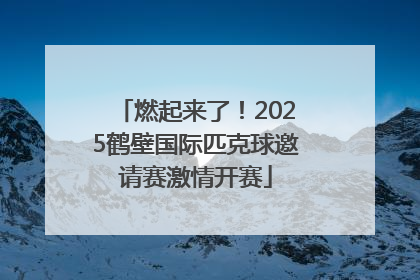 燃起来了！2025鹤壁国际匹克球邀请赛激情开赛