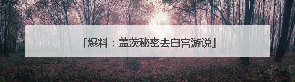 爆料：盖茨秘密去白宫游说