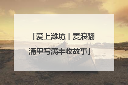 爱上潍坊丨麦浪翻涌里写满丰收故事