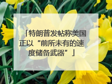 特朗普发帖称美国正以“前所未有的速度储备武器”
