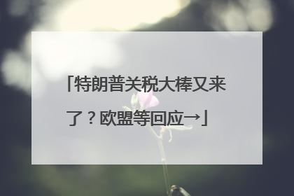 特朗普关税大棒又来了？欧盟等回应→