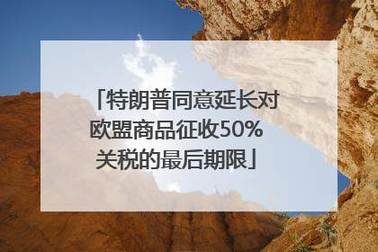 特朗普同意延长对欧盟商品征收50%关税的最后期限
