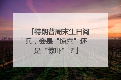 特朗普周末生日阅兵，会是“惊喜”还是“惊吓”？