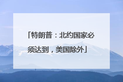 特朗普：北约国家必须达到，美国除外