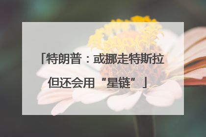 特朗普：或挪走特斯拉 但还会用“星链”