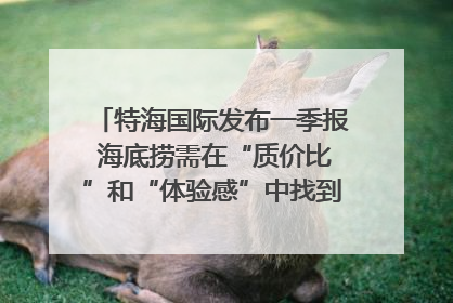 特海国际发布一季报 海底捞需在“质价比”和“体验感”中找到平衡｜新经济观察