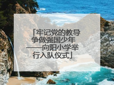 牢记党的教导 争做强国少年——向阳小学举行入队仪式