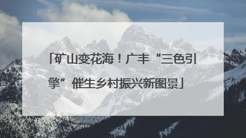 矿山变花海！广丰“三色引擎”催生乡村振兴新图景