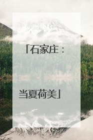 石家庄：当夏荷美