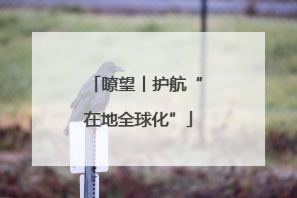 瞭望丨护航“在地全球化”