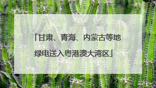 甘肃、青海、内蒙古等地绿电送入粤港澳大湾区