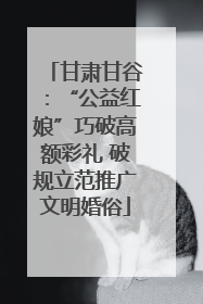 甘肃甘谷：“公益红娘”巧破高额彩礼 破规立范推广文明婚俗