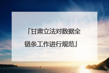 甘肃立法对数据全链条工作进行规范