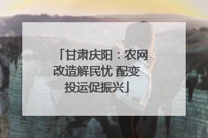 甘肃庆阳：农网改造解民忧 配变投运促振兴