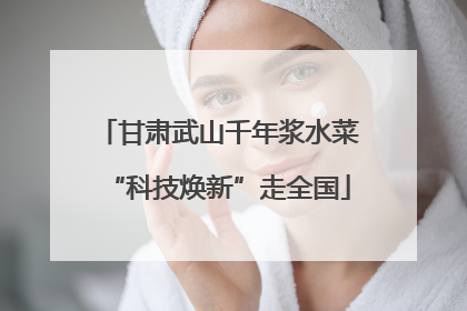 甘肃武山千年浆水菜“科技焕新”走全国