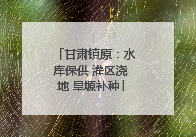 甘肃镇原：水库保供 灌区浇地 旱塬补种