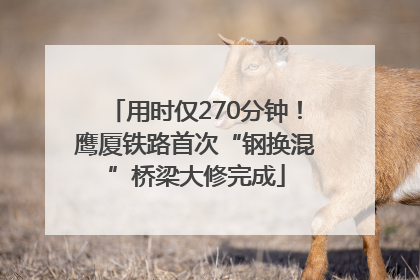 用时仅270分钟！鹰厦铁路首次“钢换混”桥梁大修完成