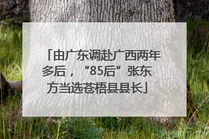 由广东调赴广西两年多后，“85后”张东方当选苍梧县县长