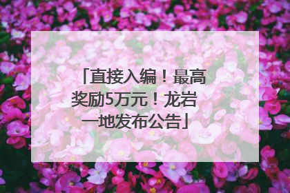 直接入编！最高奖励5万元！龙岩一地发布公告