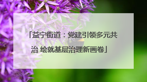 益宁街道：党建引领多元共治 绘就基层治理新画卷