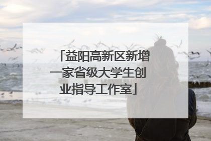 益阳高新区新增一家省级大学生创业指导工作室