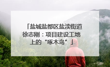 盐城盐都区盐渎街道徐志刚：项目建设工地上的“啄木鸟”