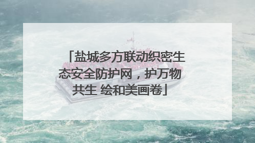 盐城多方联动织密生态安全防护网，护万物共生 绘和美画卷