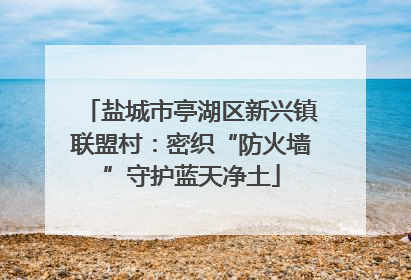 盐城市亭湖区新兴镇联盟村：密织“防火墙”守护蓝天净土