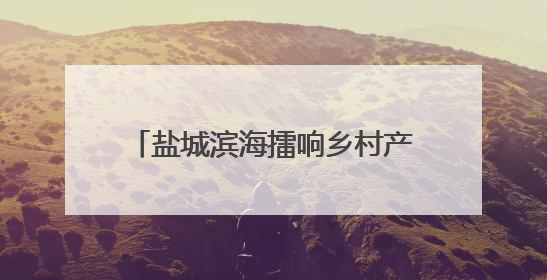 盐城滨海擂响乡村产业振兴“奋进鼓”