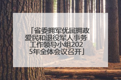 省委拥军优属拥政爱民和退役军人事务工作领导小组2025年全体会议召开