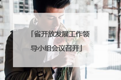 省开放发展工作领导小组会议召开