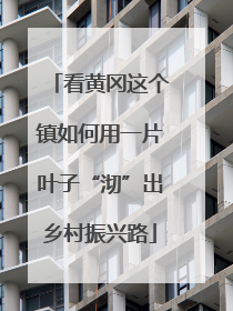 看黄冈这个镇如何用一片叶子“沏”出乡村振兴路