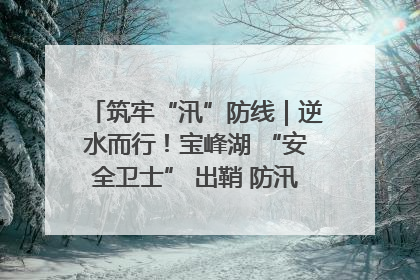 筑牢“汛”防线｜逆水而行！宝峰湖 “安全卫士” 出鞘 防汛应急再添硬核力量