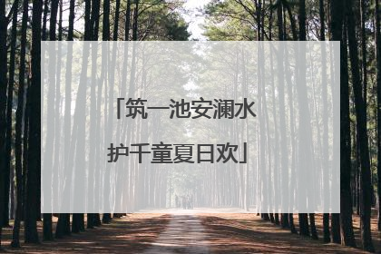 筑一池安澜水 护千童夏日欢