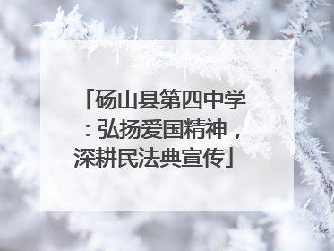 砀山县第四中学：弘扬爱国精神，深耕民法典宣传
