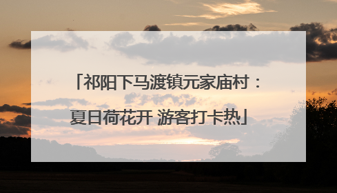 祁阳下马渡镇元家庙村：夏日荷花开 游客打卡热