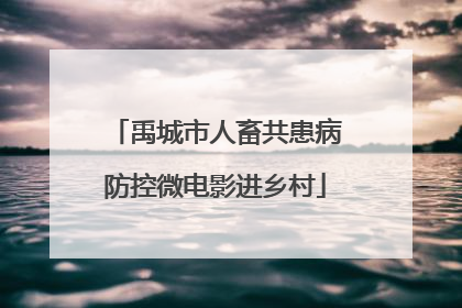 禹城市人畜共患病防控微电影进乡村