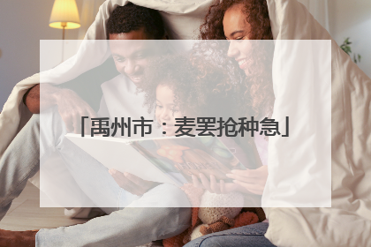 禹州市：麦罢抢种急